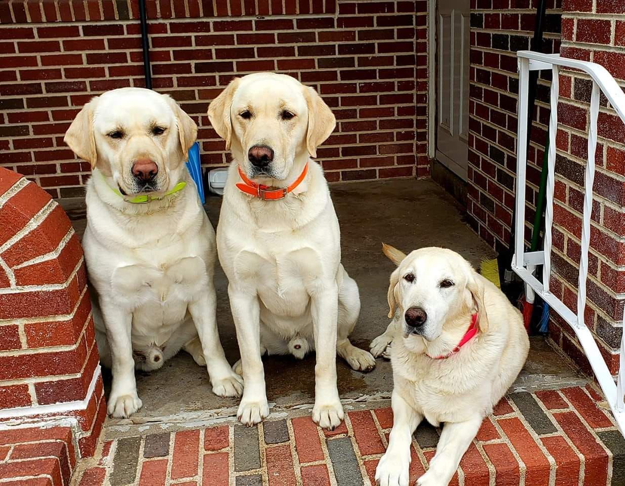 The Three Stooges - Tandy Overstreet.jpg